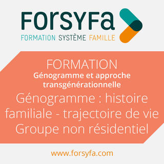 Formation Inter Génogramme histoire familiale - trajectoire de vie - Groupe non résidentiel