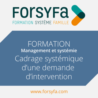 Cadrage systémique d'une demande d'intervention