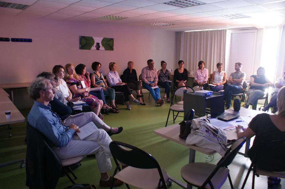 22e journée systémique : Atelier Groupe de psychothérapie pour adolescents et jeunes adultes en milieu psychiatrique