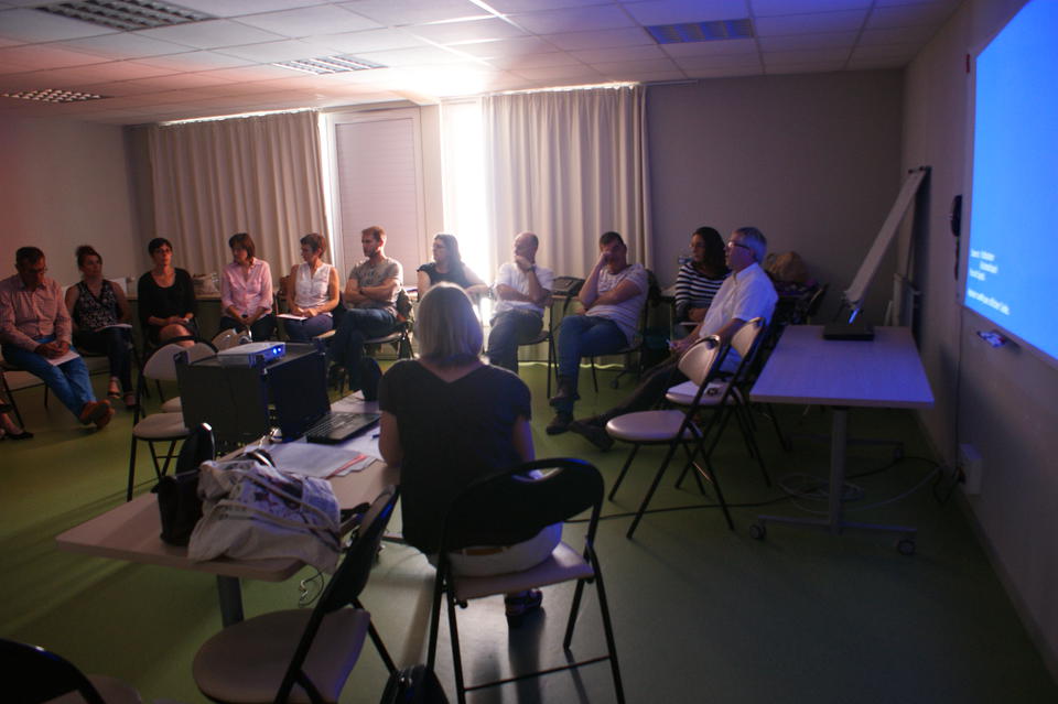 22e journée systémique : Atelier Groupe de psychothérapie pour adolescents et jeunes adultes en milieu psychiatrique