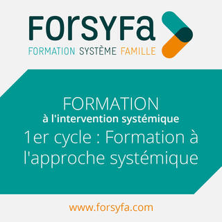 Formation Inter 1er cycle de formation à l'approche systémique