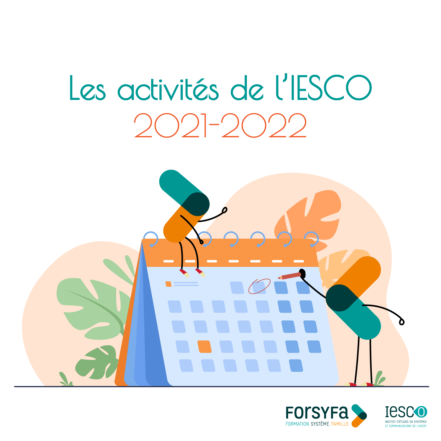 Les activités de l'IESCO