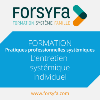 Formations inter - L'entretien systémique individuel