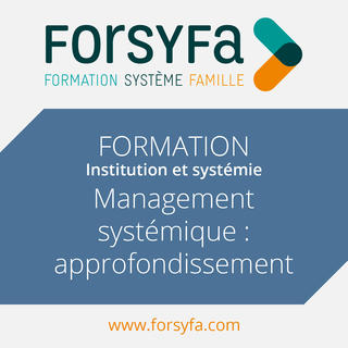 Formation Inter au management systémique - approfondissement