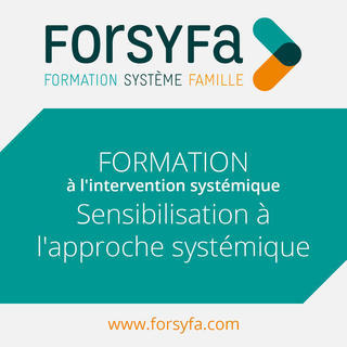 Formation Inter de sensibilisation à l'approche systémique