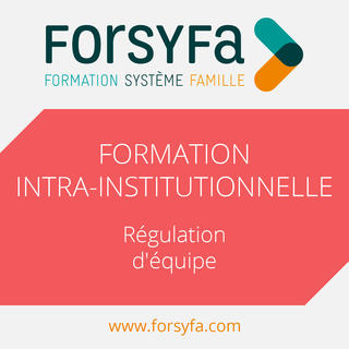 Formation Intra-institutionnelle de régulation d'équipe