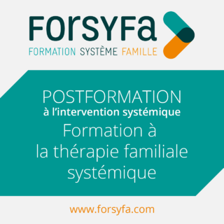 Formation à la thérapie familiale systémique