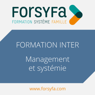 Management et systémie